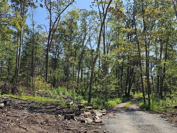 Lot 8.1 Eckes Road, Narrowsburg, NY 12764
