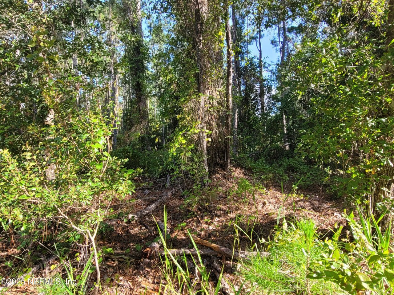 225 Carteret Road, Georgetown, FL 32139 Photo