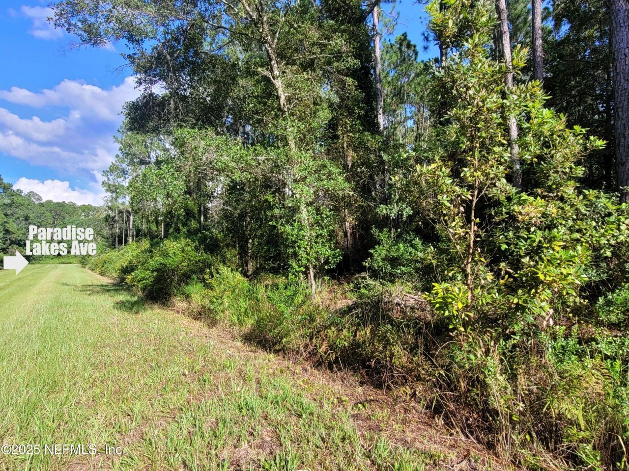 225 Carteret Road, Georgetown, FL 32139 Photo