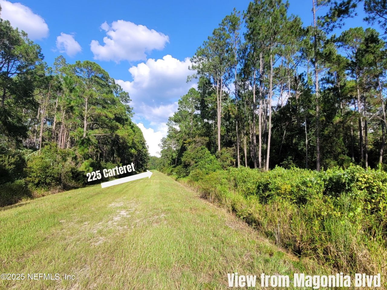 225 Carteret Road, Georgetown, FL 32139 Photo