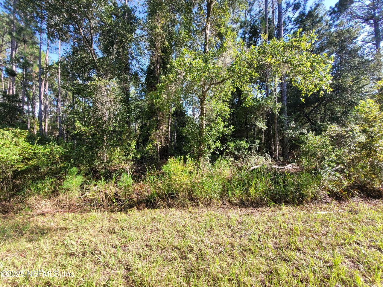 225 Carteret Road, Georgetown, FL 32139 Photo