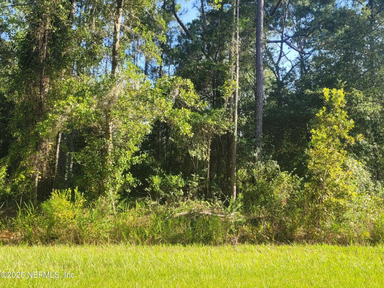 225 Carteret Road, Georgetown, FL 32139 Photo
