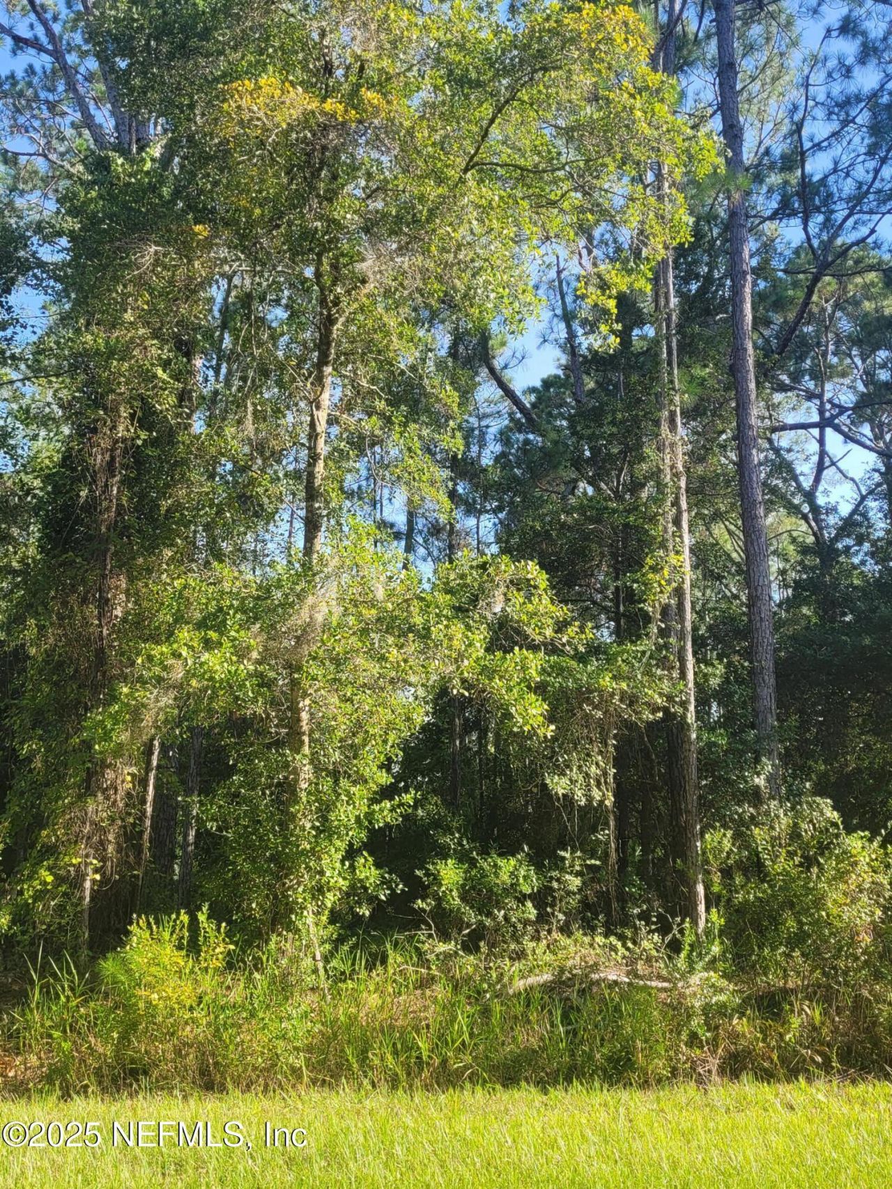225 Carteret Road, Georgetown, FL 32139 Photo