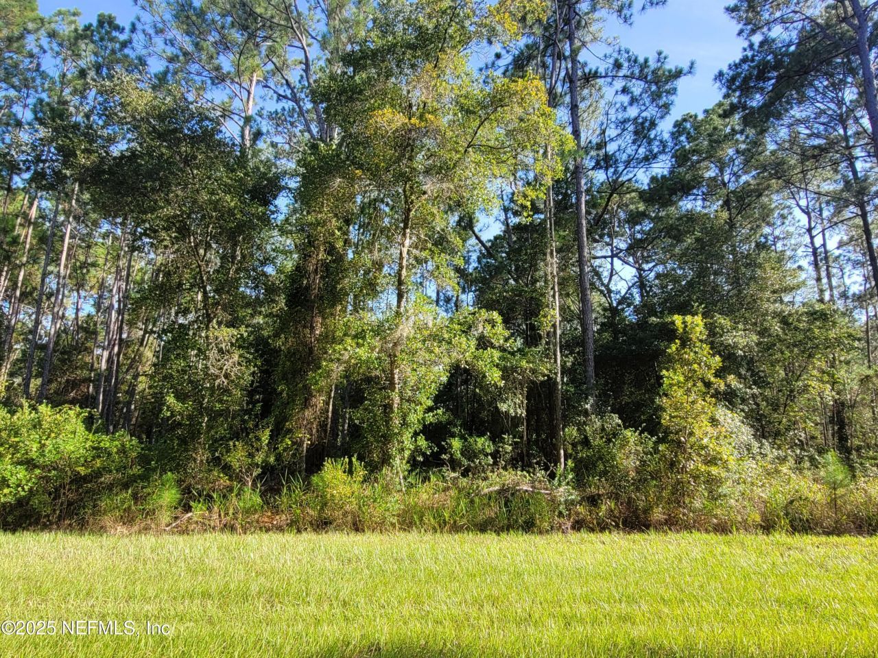 225 Carteret Road, Georgetown, FL 32139 Photo