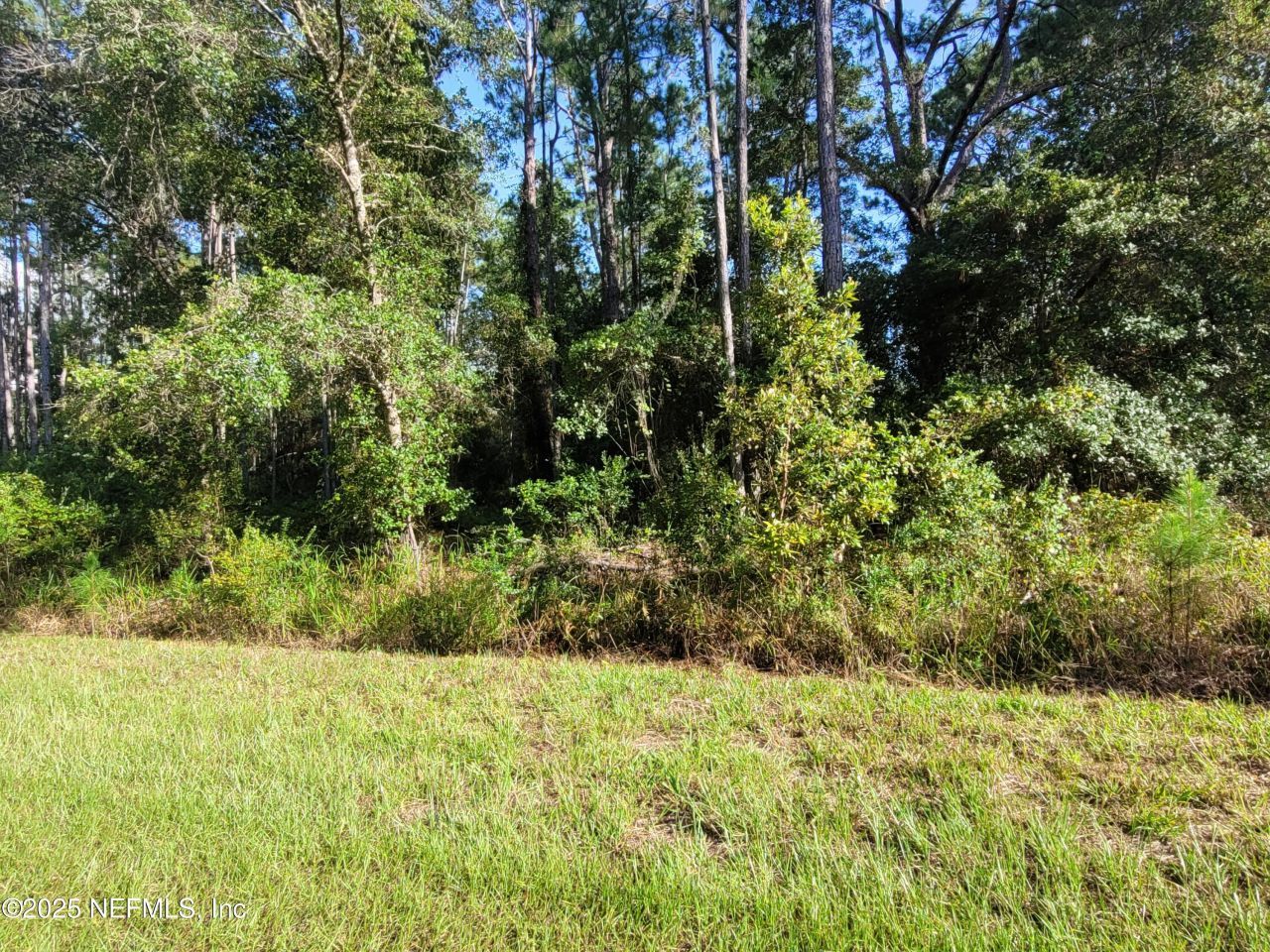 225 Carteret Road, Georgetown, FL 32139 Photo