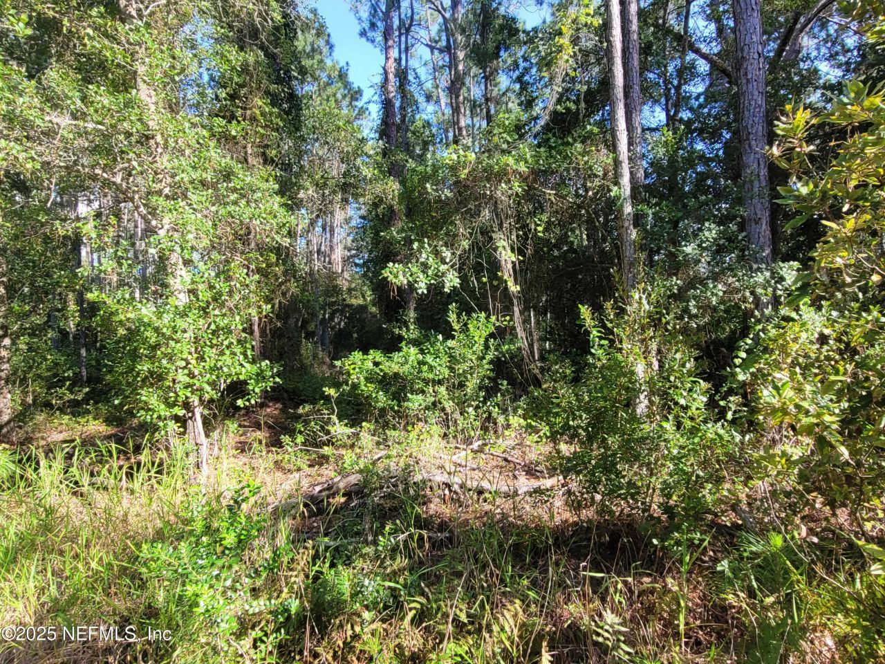 225 Carteret Road, Georgetown, FL 32139 Photo
