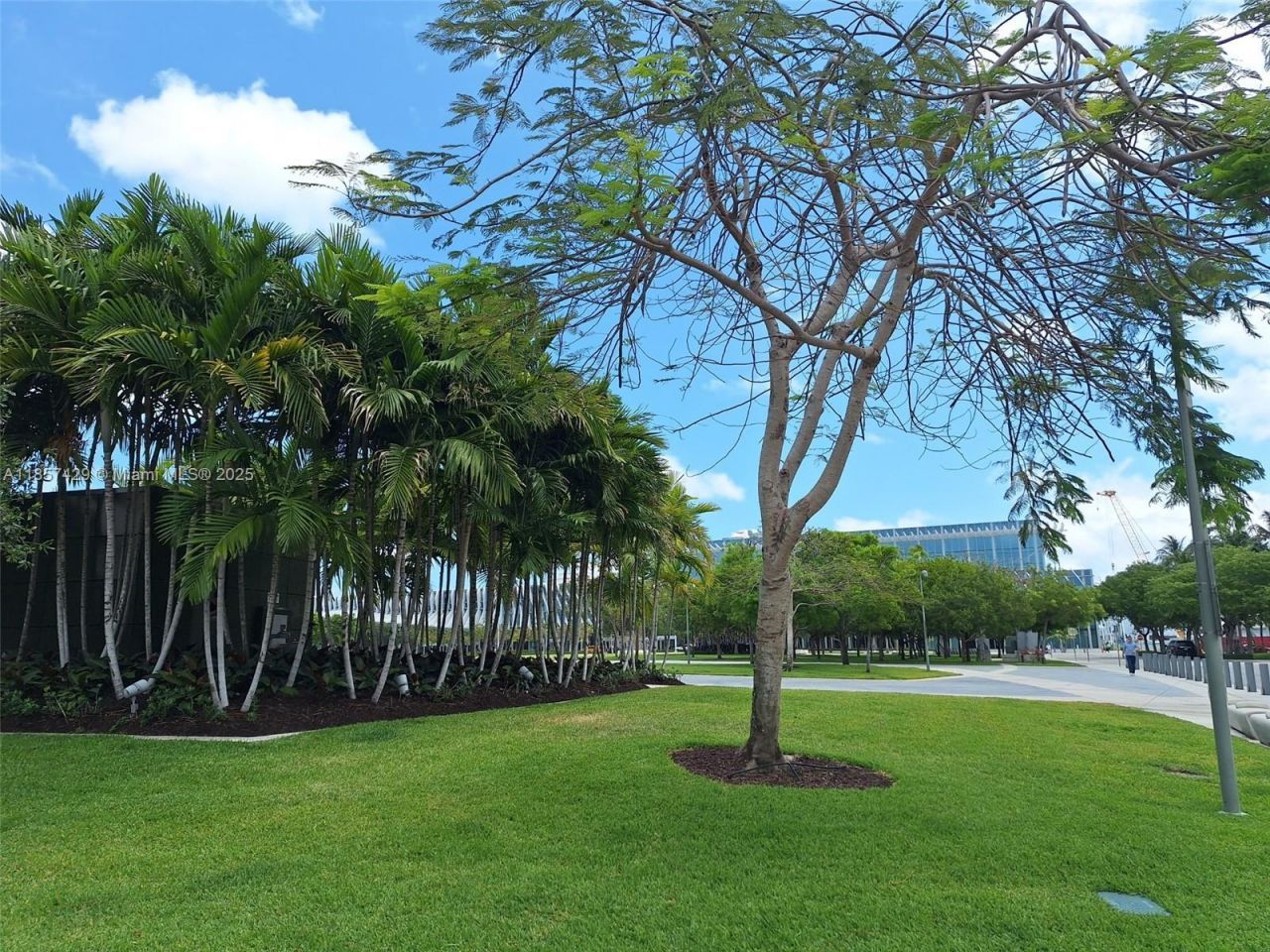 1770 Meridian Ave, Unit 213, Miami Beach, FL 33139 Photo