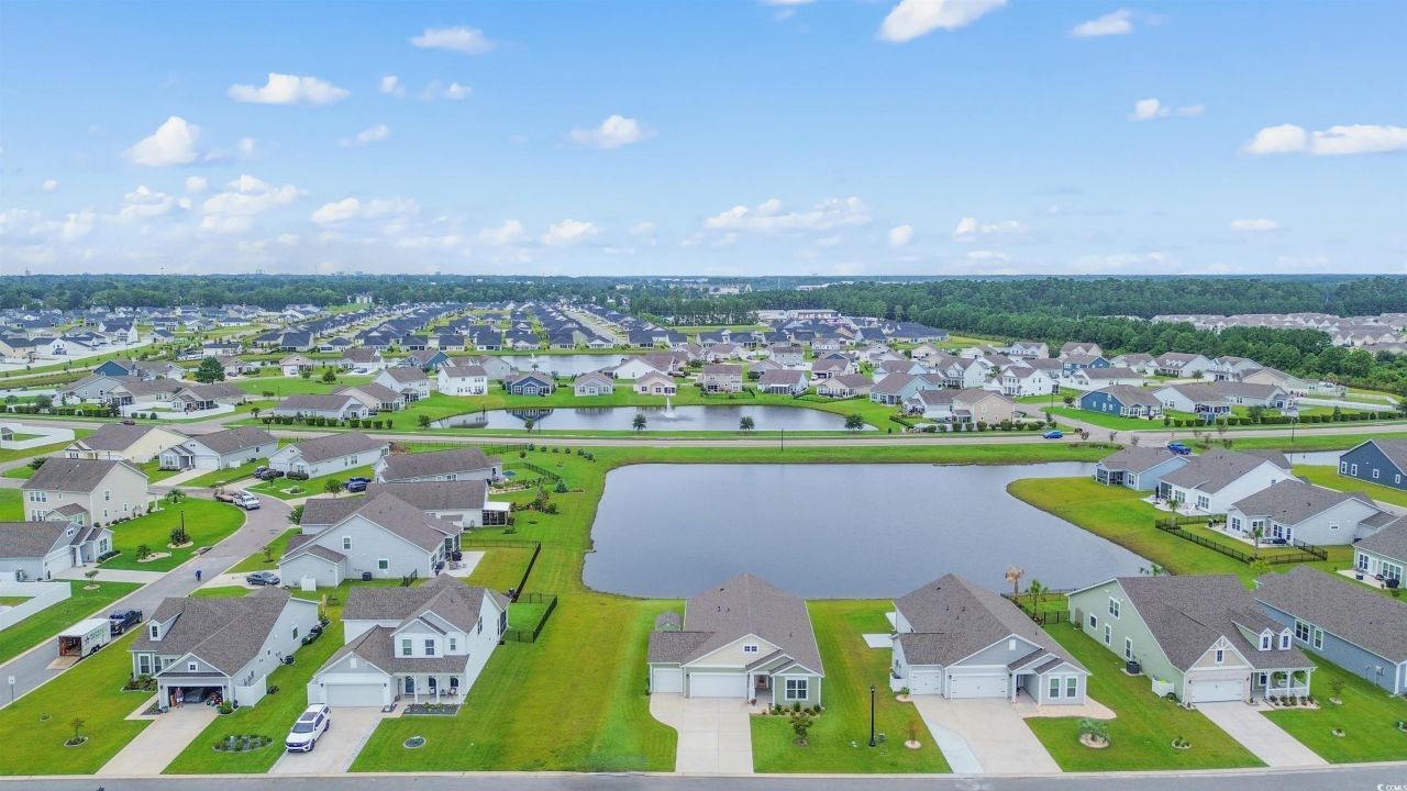 5059 Vinesia Dr. Photo 39