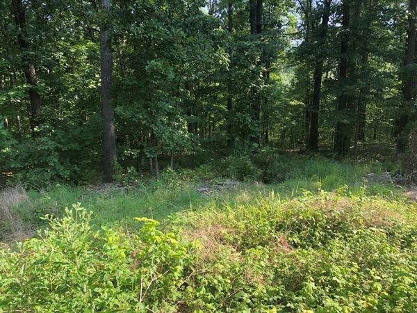 Lot 12 Bingley Lane, Bella Vista, AR 72714