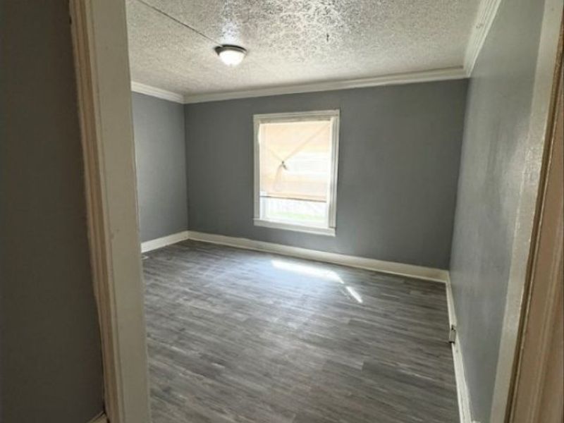 821 E 156th Street, Cleveland, OH 44110 Photo 5