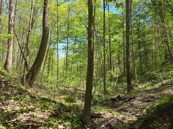 0 Upper Douda Road , Malta, OH 43758