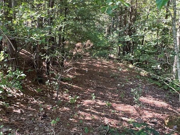 16 Hawks Branch Lane, White, GA 30184