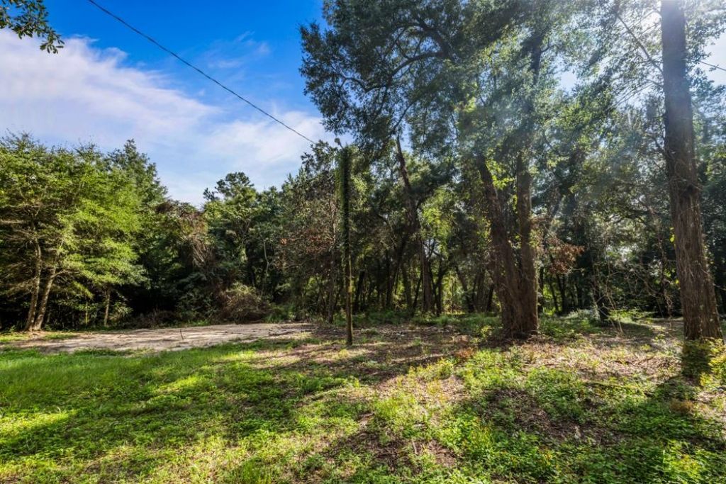 135 Ball Farm Road, Quincy, FL 32352 Photo