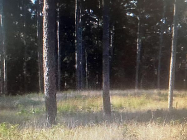 Lot 47 Apollo Way, Canton, MS 39046
