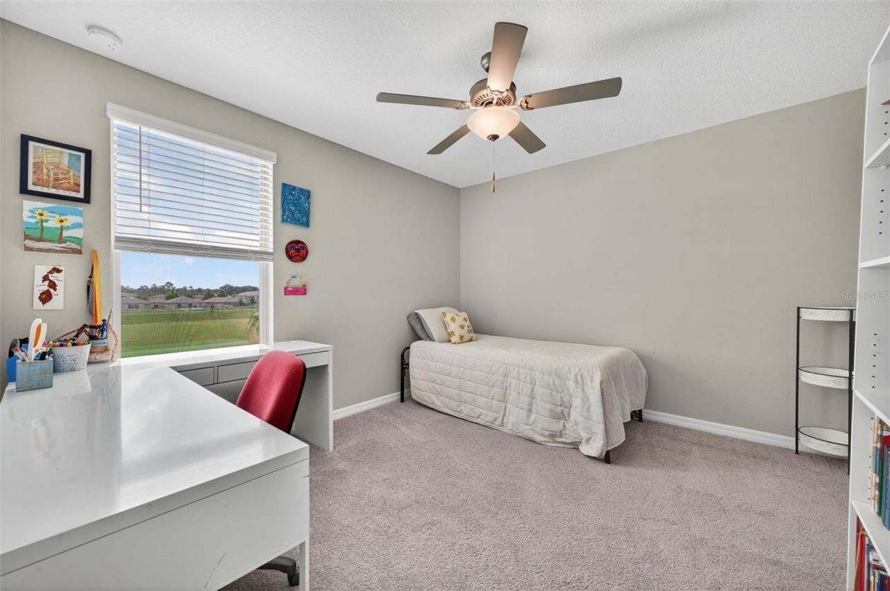 3965 Hanover Drive, New Port Richey, FL 34653 Photo