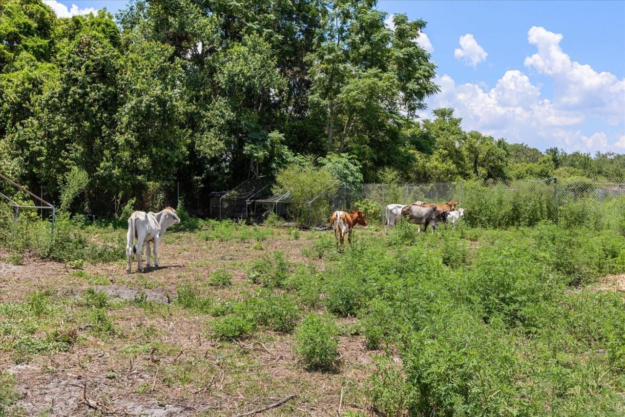 Please Call For Address, Oviedo, FL 32765 Photo