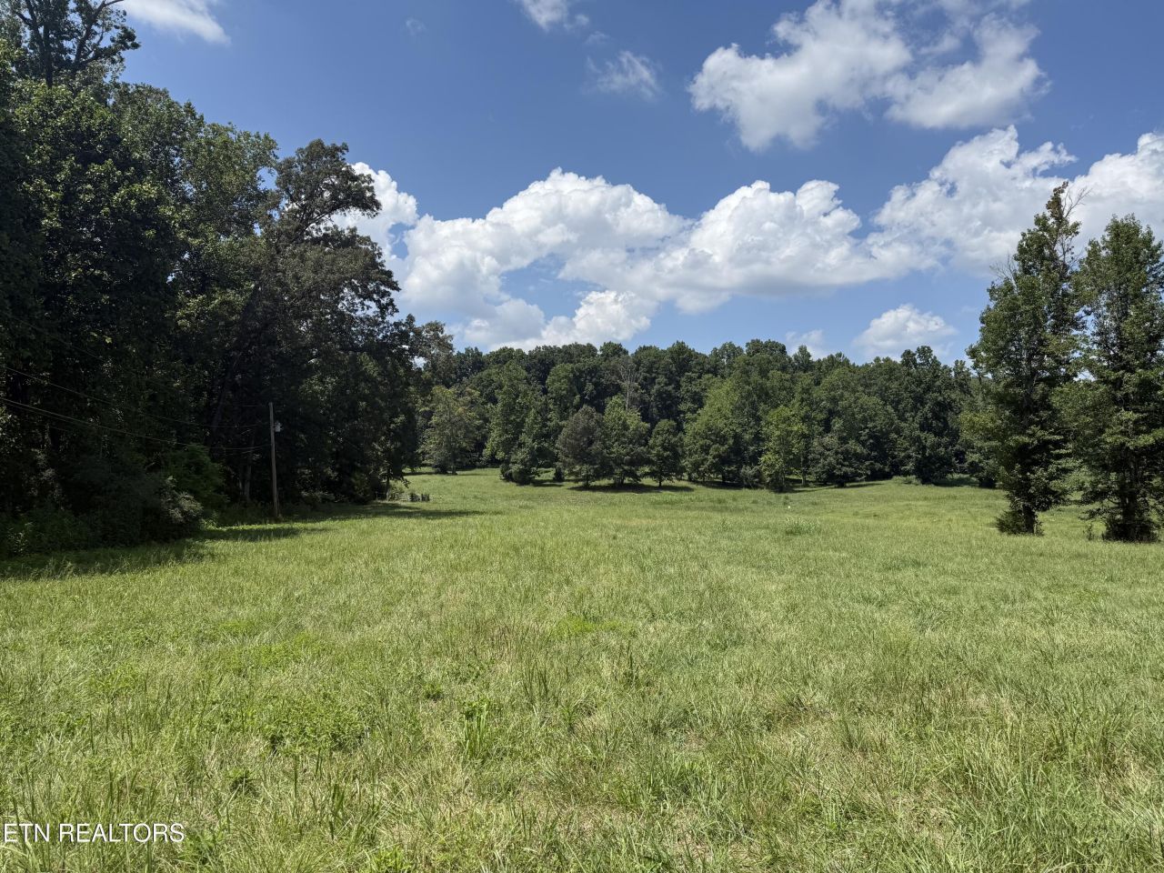 14374 Northshore Drive, Lenoir City, TN 37772 Main Photo