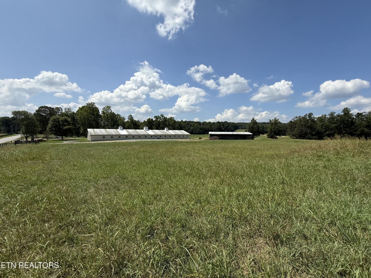 14300 Northshore Drive, Lenoir City, TN 37772 Main Photo