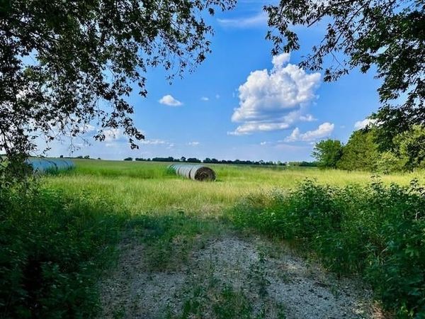 TBD 19.933AC TX-11, Bailey, TX 75413