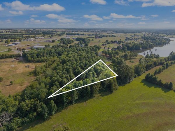 28R River Birch Drive, Guy, AR 72061