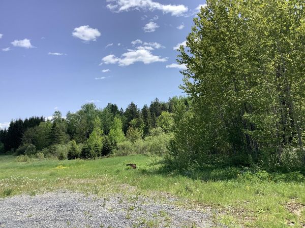 0 Rene Vaillancourt Home Farm, Cyr Plt, ME 04785