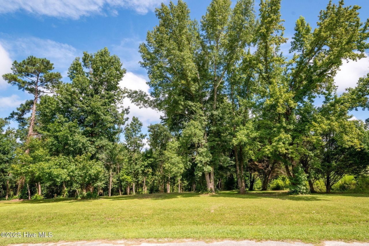 Tract A-2 Nc 133 Highway, Rocky Point, NC 28457 Main Photo