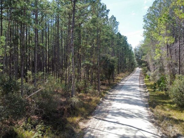 TBD NE 22ND LN, Other, FL 32640