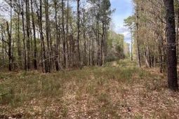 0 Palm Street photo 4