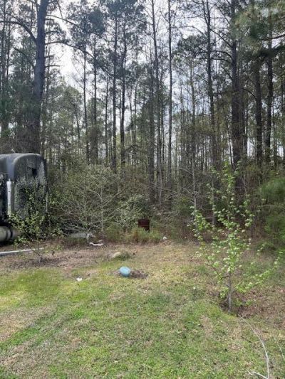 0 Palm Street Photo 4