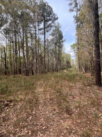 0 Palm Street Photo 7