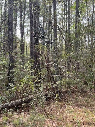 0 Palm Street Photo 8