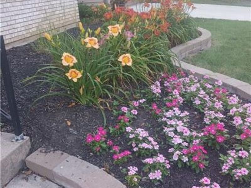 7215 Whitetail Trail, Centerville, OH 45459 Photo 6