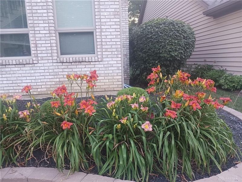 7215 Whitetail Trail, Centerville, OH 45459 Photo 7