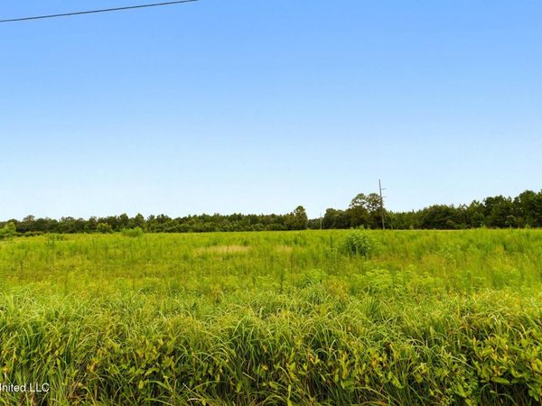 29 Acres Highway 613, Lucedale, MS 39452