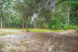 6923 Wedgefield Road photo 4