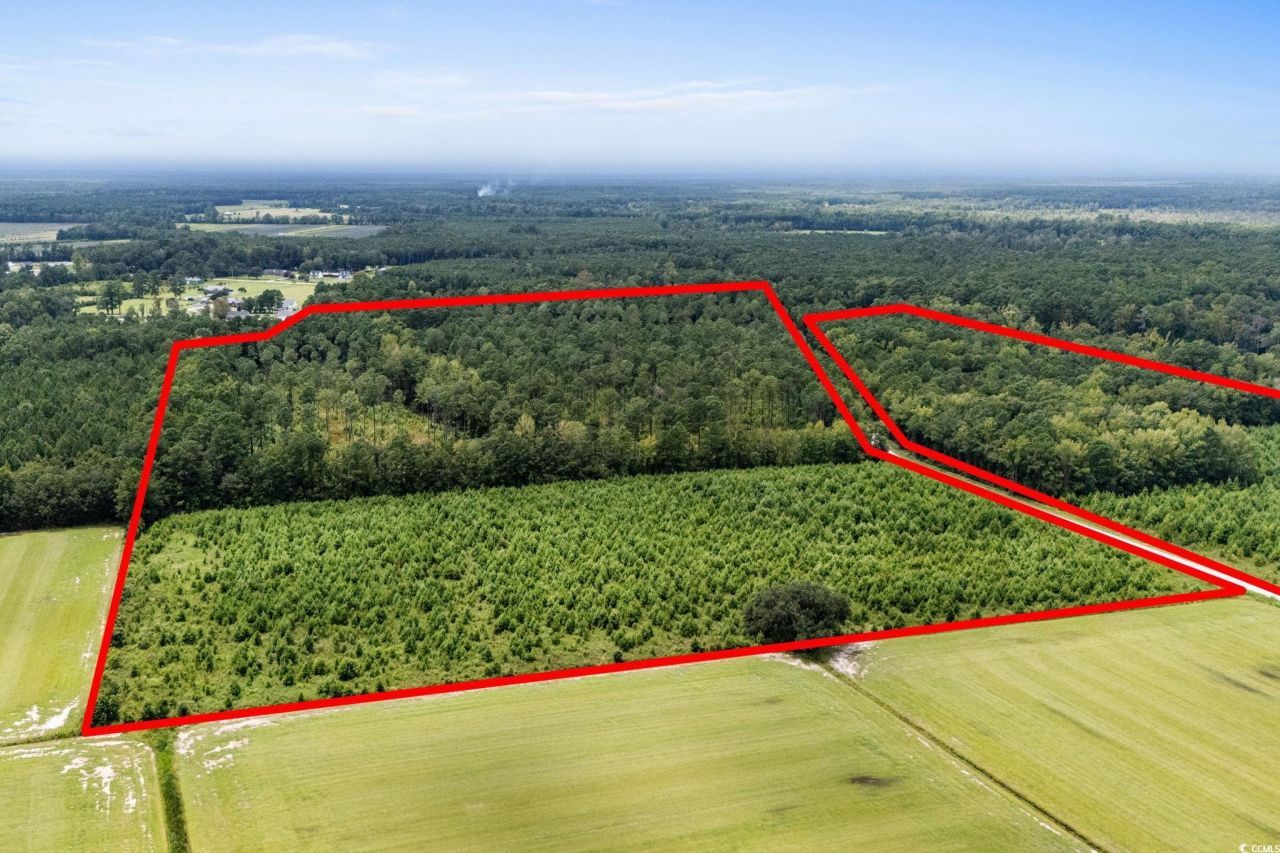 Tbd Ebenezer Rd. Photo 13