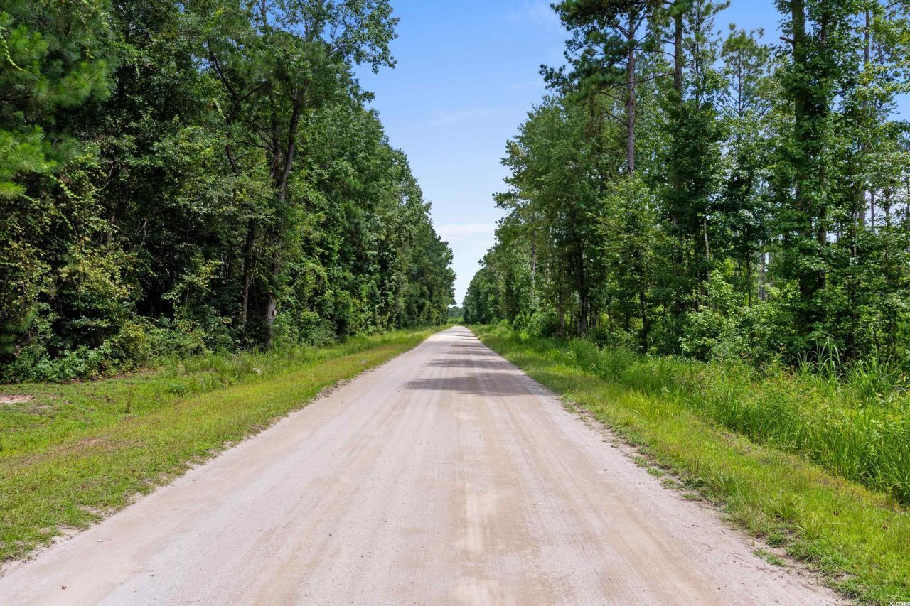 Tbd Ebenezer Rd. Photo 14