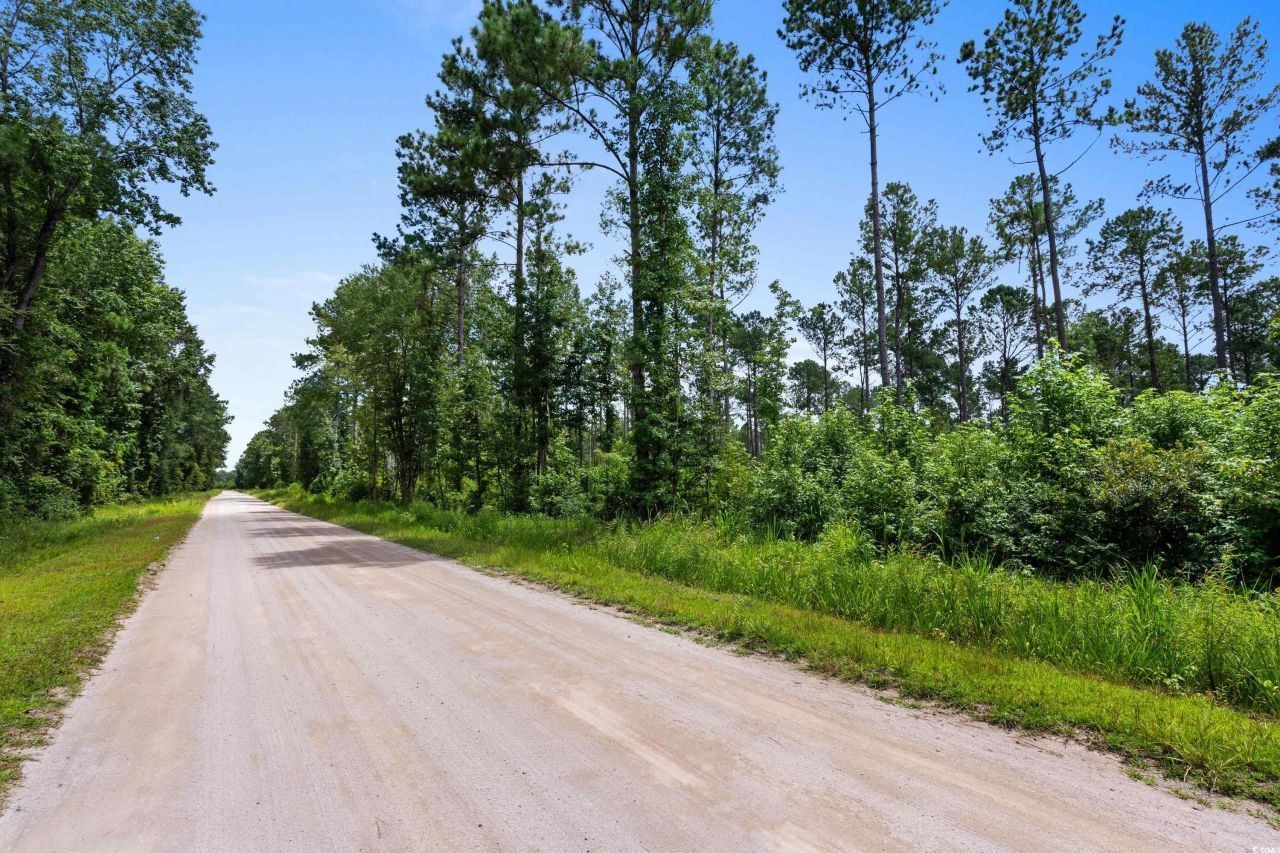 Tbd Ebenezer Rd. Photo 15