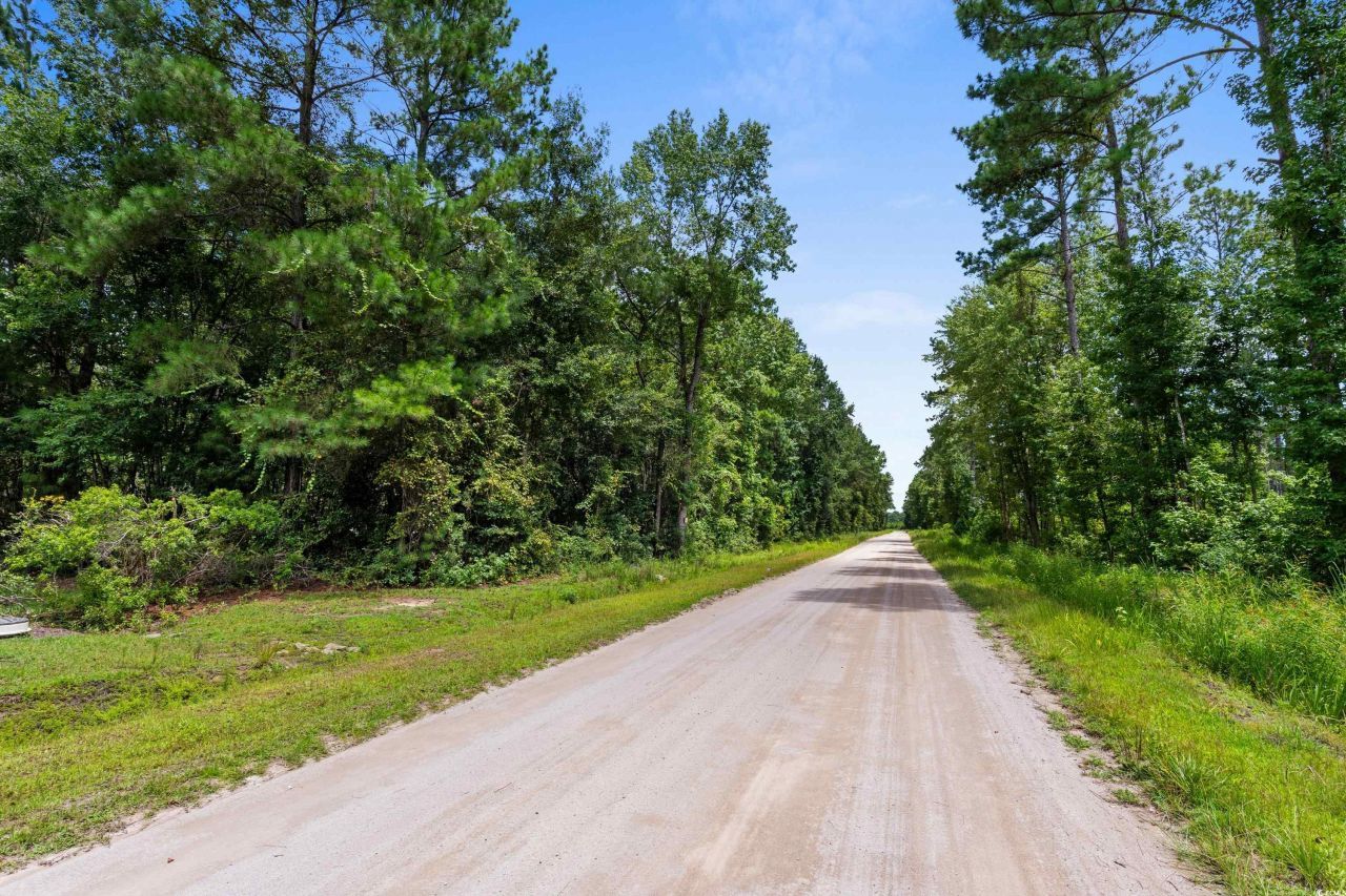 Tbd Ebenezer Rd. Photo 17