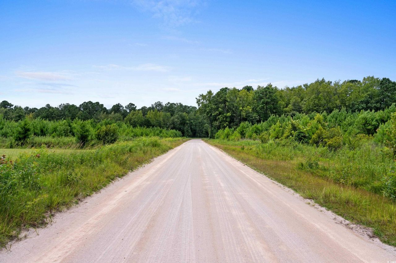 Tbd Ebenezer Rd. Photo 18