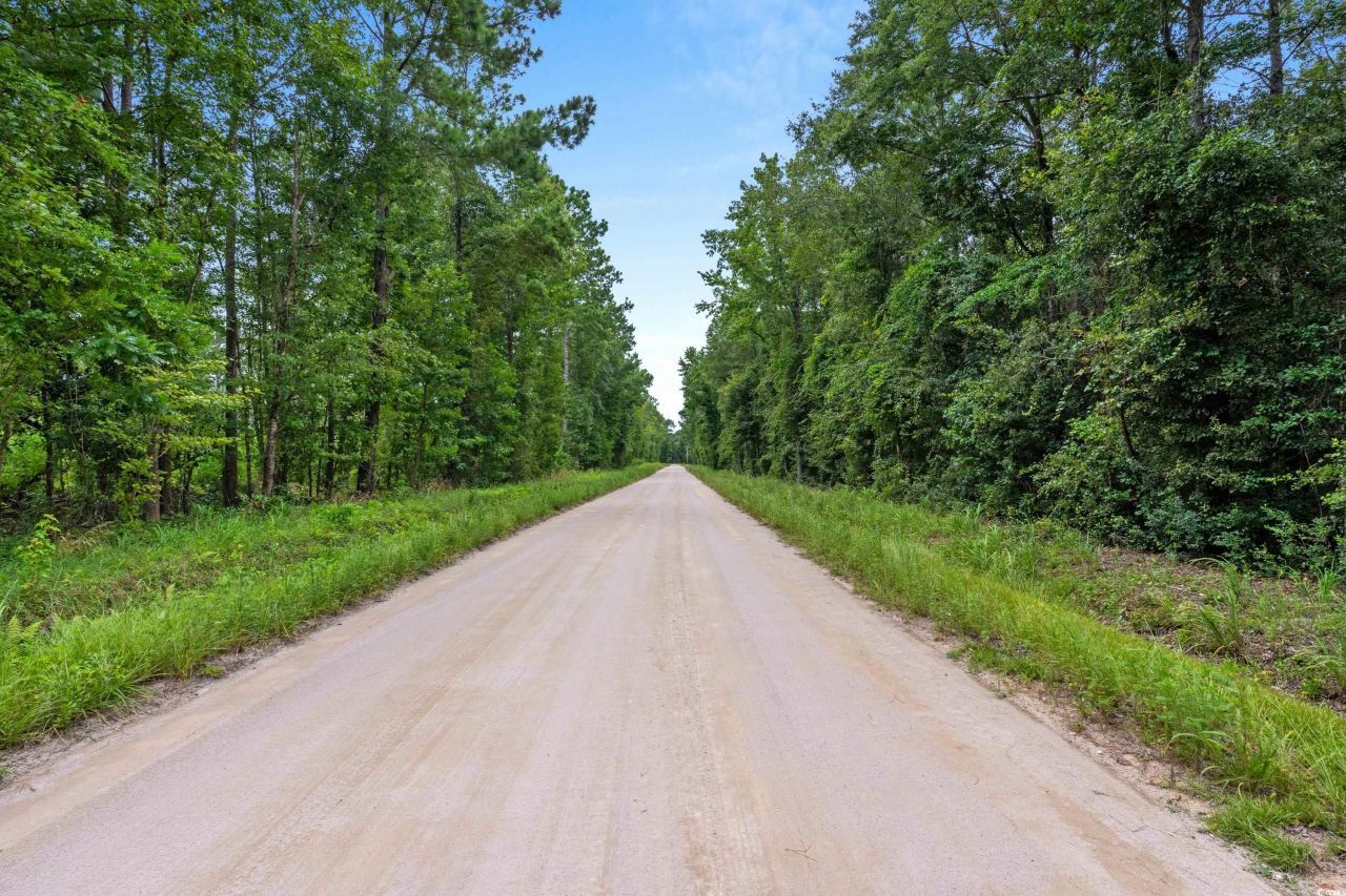 Tbd Ebenezer Rd. Photo 19