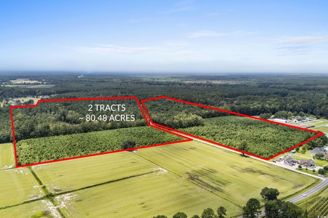 Tbd Ebenezer Rd. Photo 4