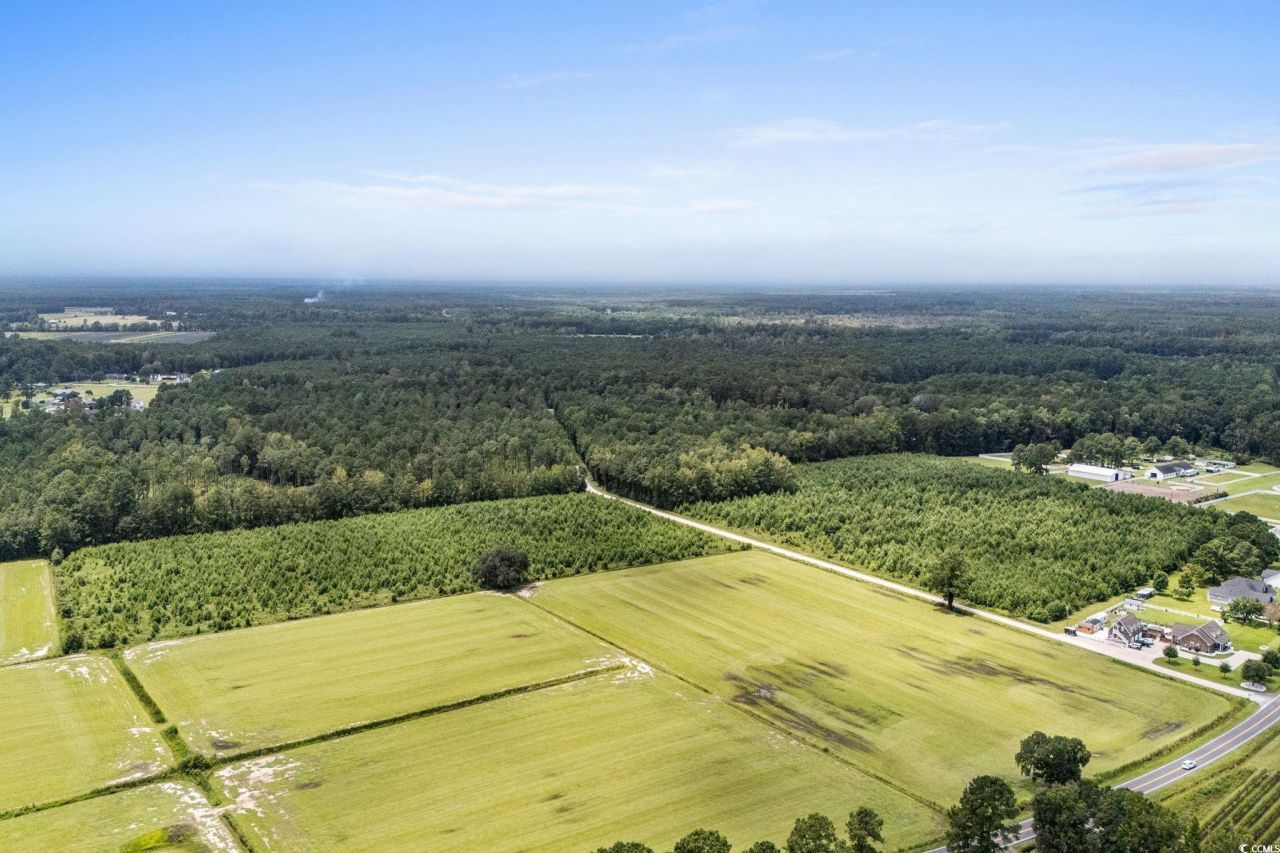 Tbd Ebenezer Rd. Photo 6