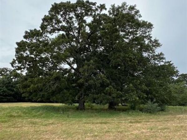 TBD County Road 3515, Dike, TX 75437