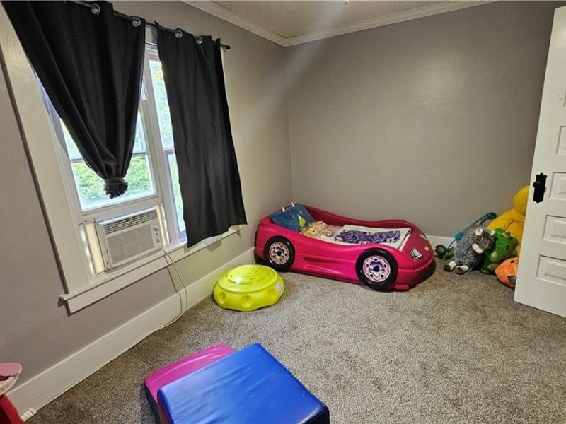 10368 Wooster Pike, Creston, OH 44217 Photo 10