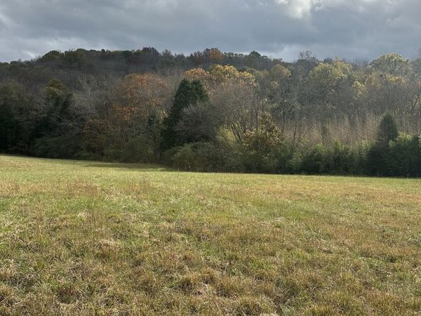 772 Rock Bridge Rd, Bethpage, TN 37022