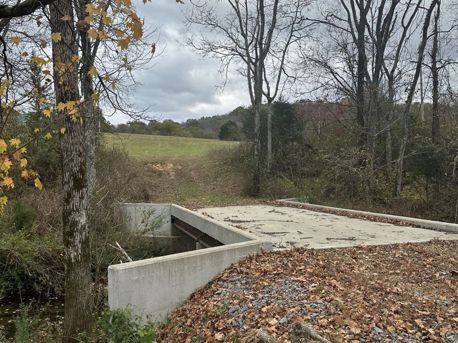 Property Image 11