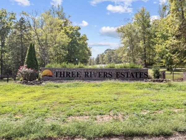 10 Yellow Violet Ct, Hurricane Mills, TN 37078