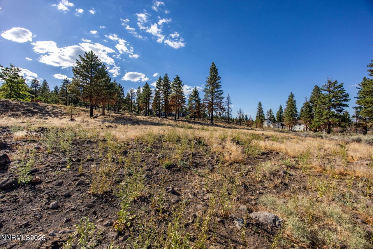 485 Mt Mahogany Court, Reno, NV 89511 Photo