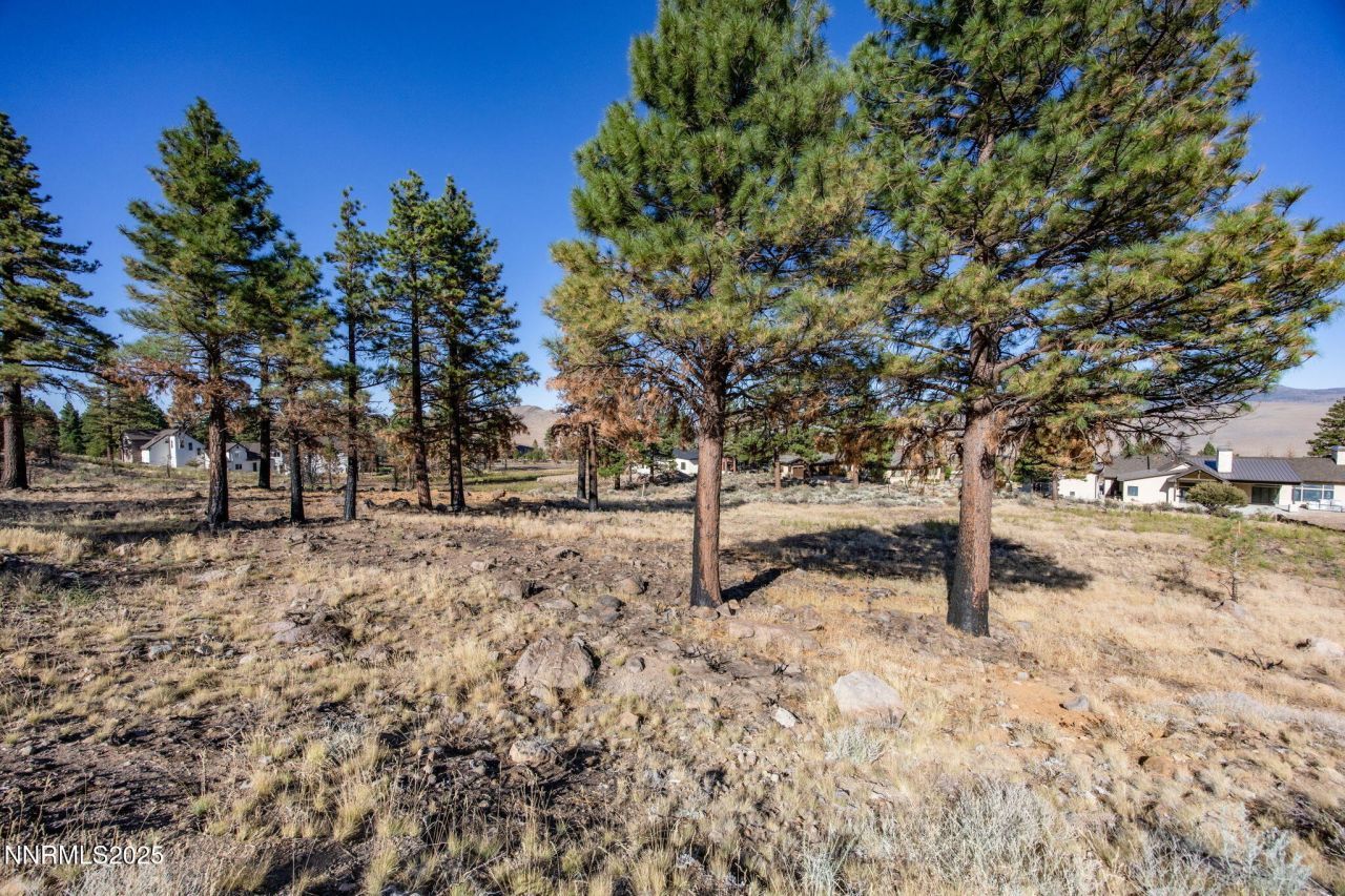 485 Mt Mahogany Court, Reno, NV 89511 Photo